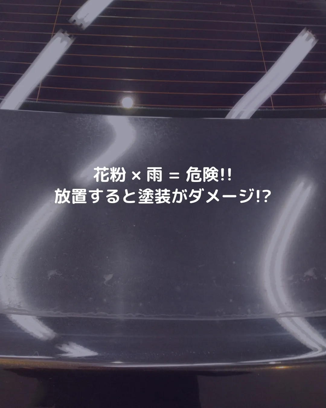 🚗💨 春の敵!? 花粉で車の塗装がダメージを受ける理由🌿💦