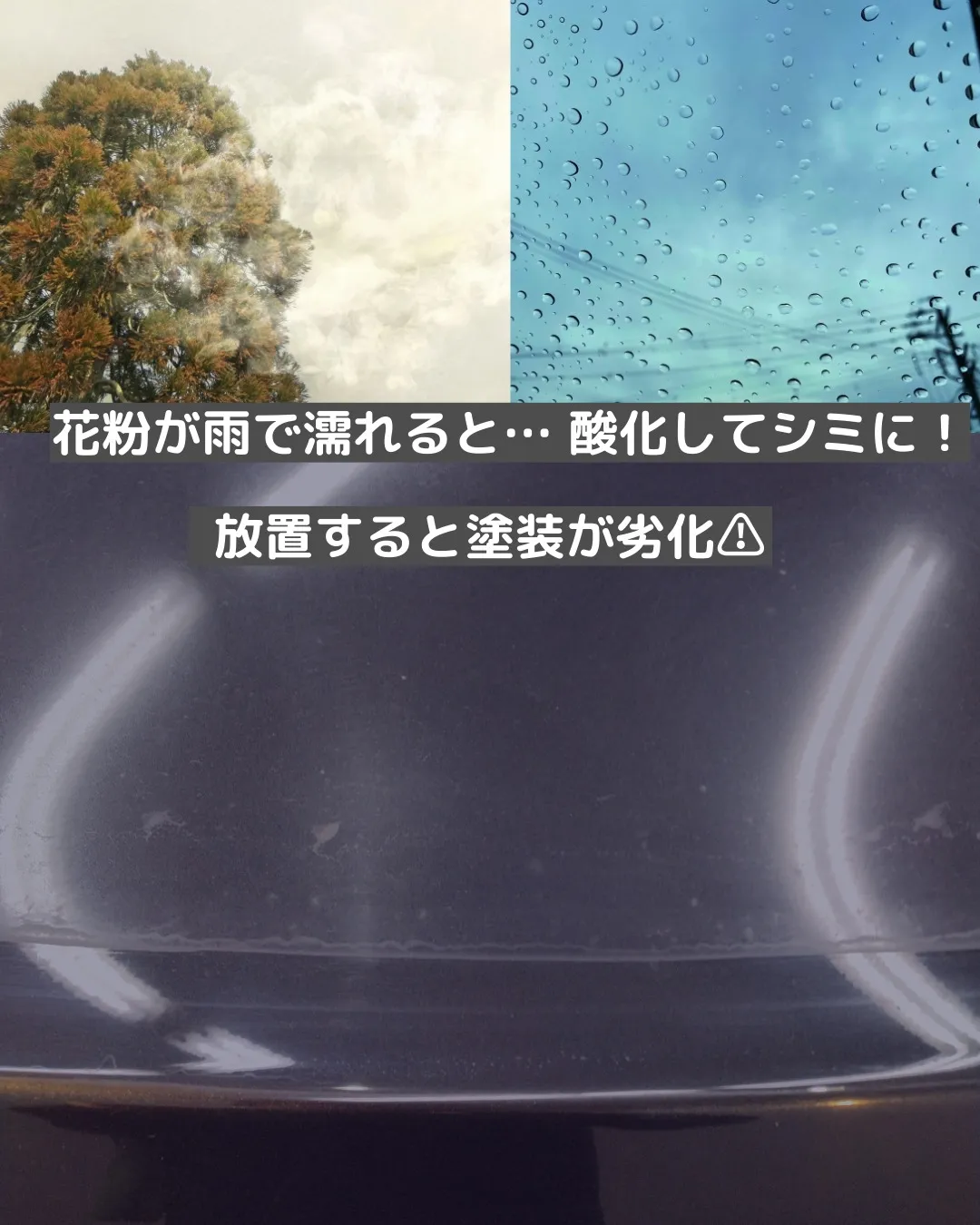 🚗💨 春の敵!? 花粉で車の塗装がダメージを受ける理由🌿💦