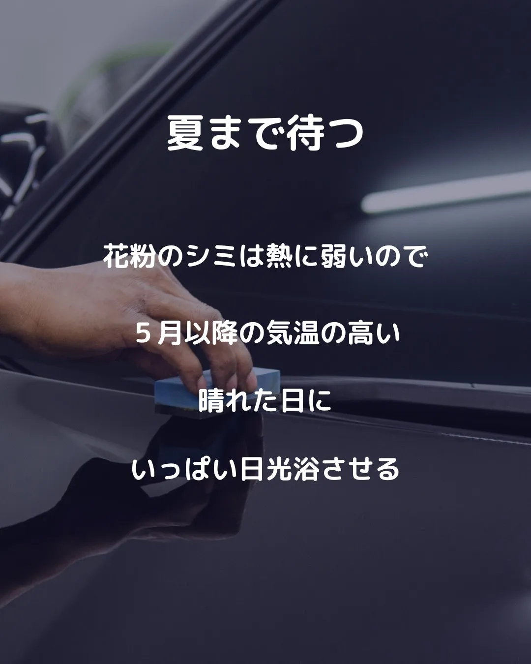 🚗💨 春の敵!? 花粉で車の塗装がダメージを受ける理由🌿💦