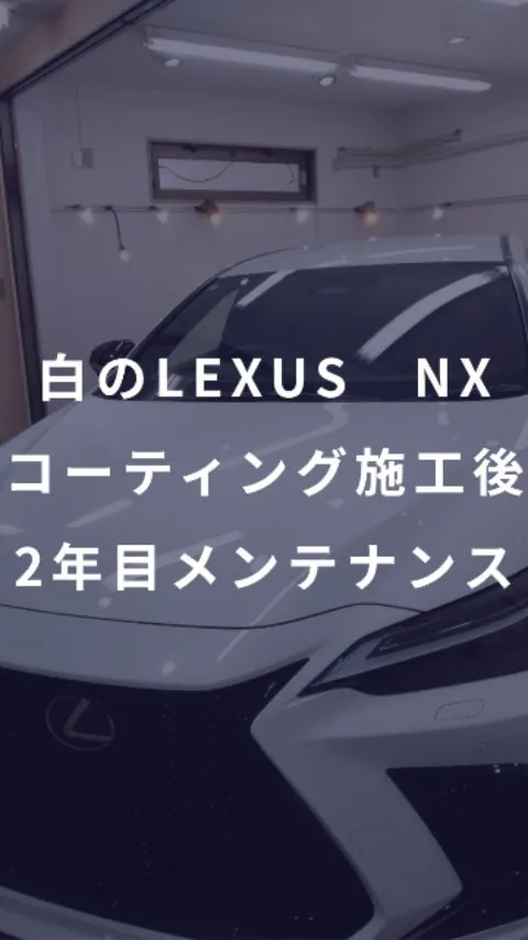 コーティング施工後2年目の白いLEXUS　NXに