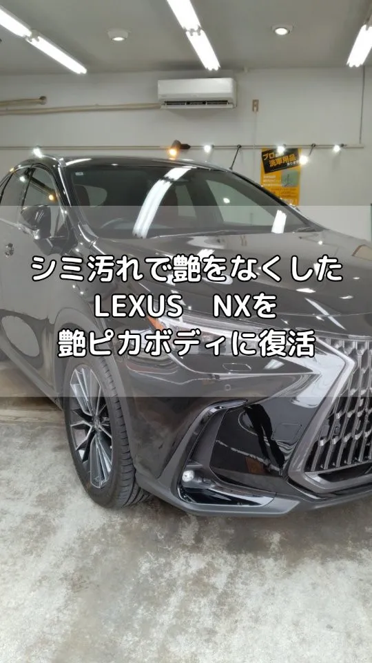 シミ汚れで覆われたLEXUS　NXの黒にガラスコーティング